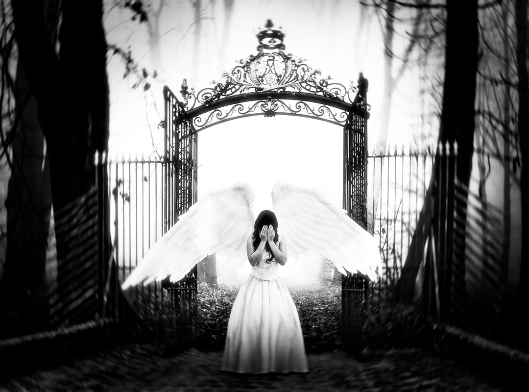 Legal and Ethical Implications of the Leak