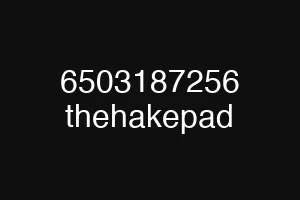 6503187256 thehakepad